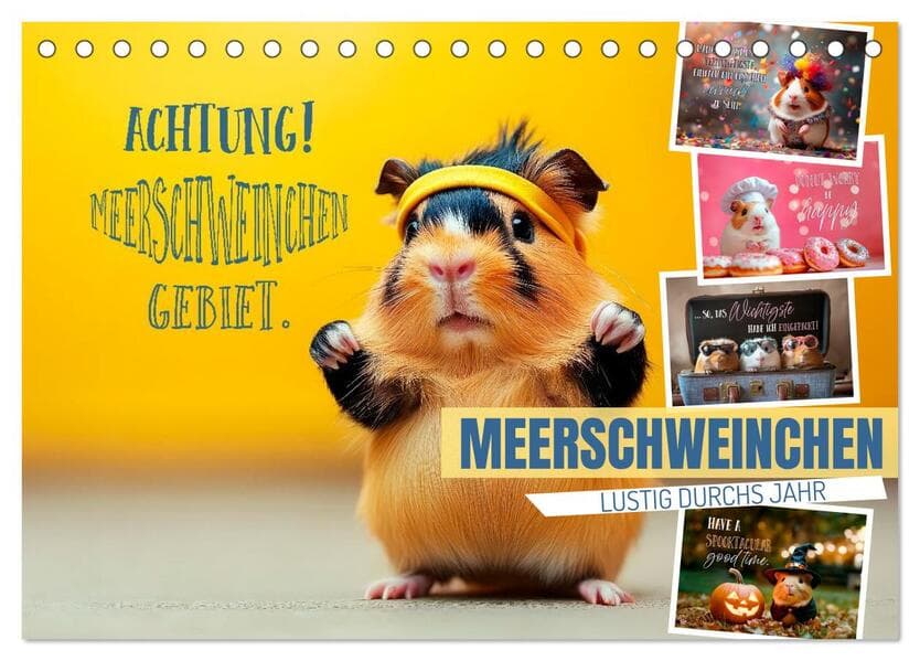 Meerschweinchen LUSTIG DURCHS JAHR (Tischkalender 2026 DIN A5 quer), CALVENDO Monatskalender