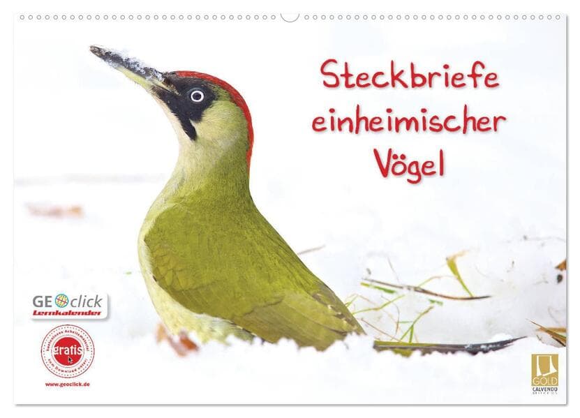 Steckbriefe einheimischer Vögel (Wandkalender 2026 DIN A2 quer), CALVENDO Monatskalender