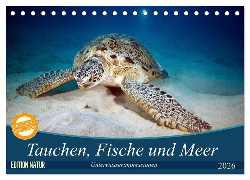 Tauchen, Fische und Meer (Tischkalender 2026 DIN A5 quer), CALVENDO Monatskalender
