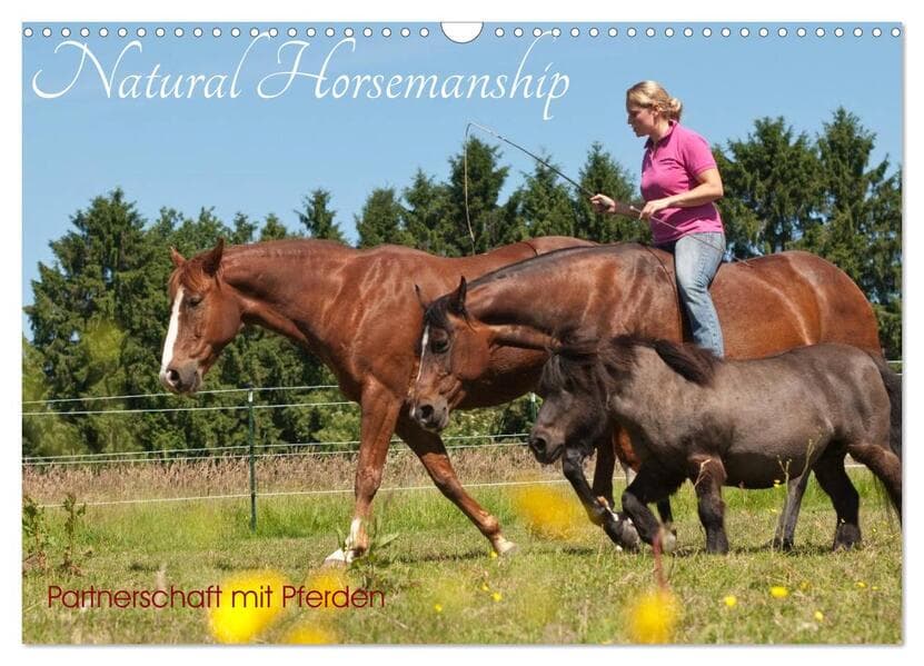 Natural Horsemanship - Partnerschaft mit Pferden (Wandkalender 2026 DIN A3 quer), CALVENDO Monatskal