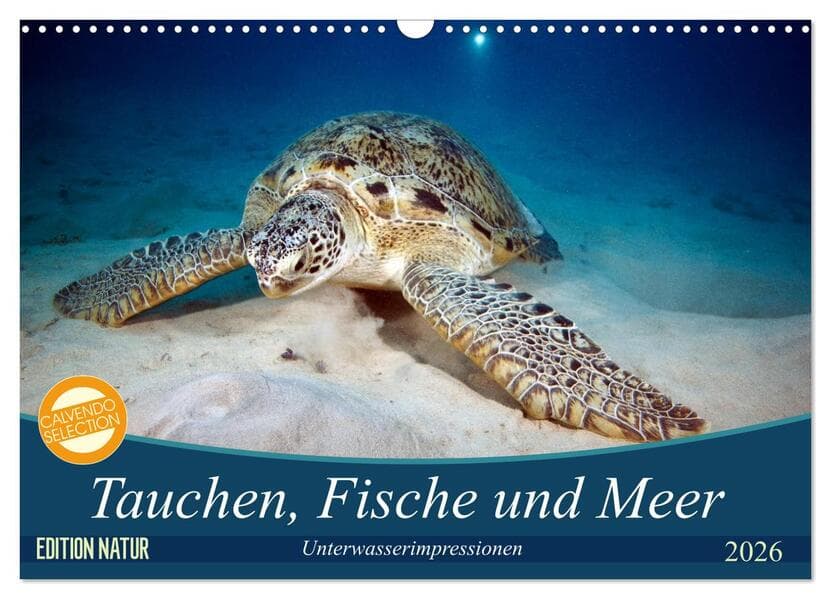 Tauchen, Fische und Meer (Wandkalender 2026 DIN A3 quer), CALVENDO Monatskalender