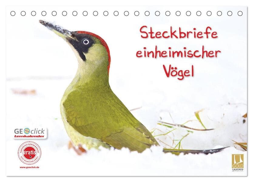 Steckbriefe einheimischer Vögel (Tischkalender 2026 DIN A5 quer), CALVENDO Monatskalender