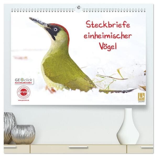 Steckbriefe einheimischer Vögel (hochwertiger Premium Wandkalender 2026 DIN A2 quer), Kunstdruck in