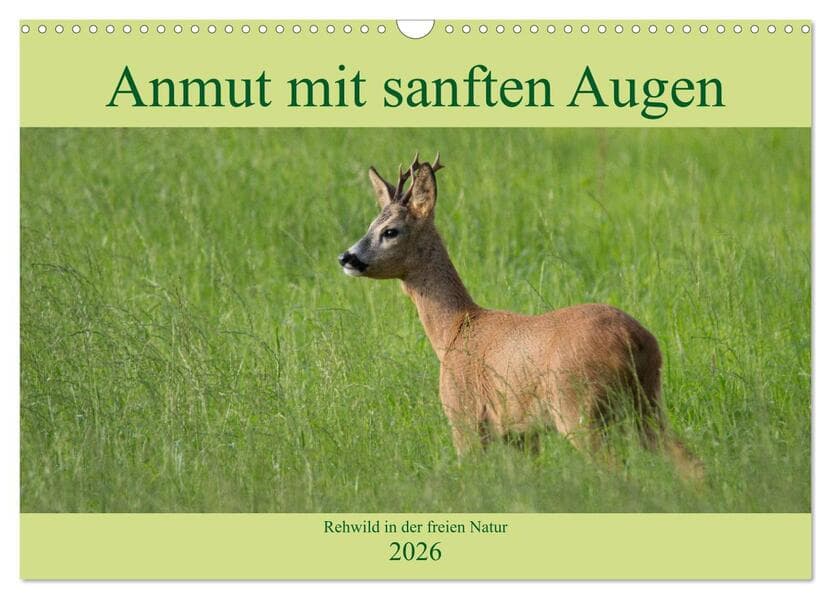 Anmut mit sanften Augen - Rehwild in der freien Natur (Wandkalender 2026 DIN A3 quer), CALVENDO Mona