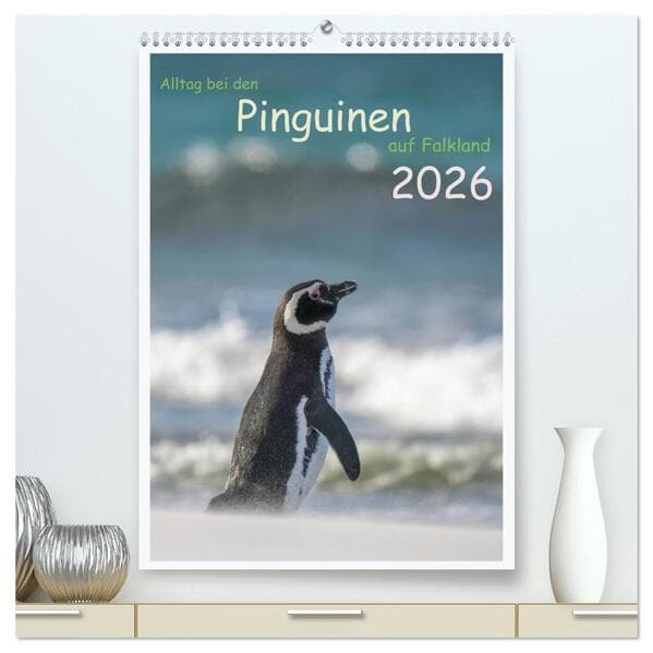 Alltag bei den Pinguinen auf Falkland (hochwertiger Premium Wandkalender 2026 DIN A2 hoch), Kunstdru