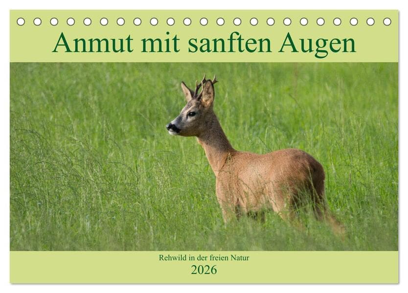 Anmut mit sanften Augen - Rehwild in der freien Natur (Tischkalender 2026 DIN A5 quer), CALVENDO Mon