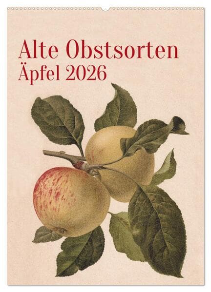 Alte Obstsorten - Äpfel 2026 (Wandkalender 2026 DIN A2 hoch), CALVENDO Monatskalender