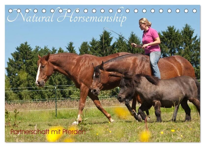 Natural Horsemanship - Partnerschaft mit Pferden (Tischkalender 2026 DIN A5 quer), CALVENDO Monatska