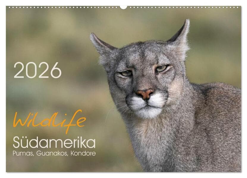 Wildlife Südamerika (Wandkalender 2026 DIN A2 quer), CALVENDO Monatskalender
