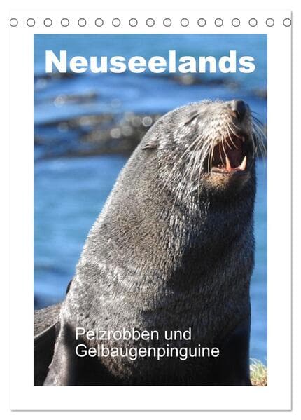 Neuseelands Pelzrobben und Gelbaugenpinguine (Tischkalender 2026 DIN A5 hoch), CALVENDO Monatskalend