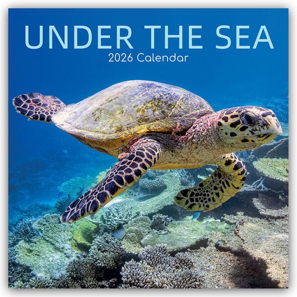 Under the Sea - Tropische Fische 2026 - 16-Monatskalender