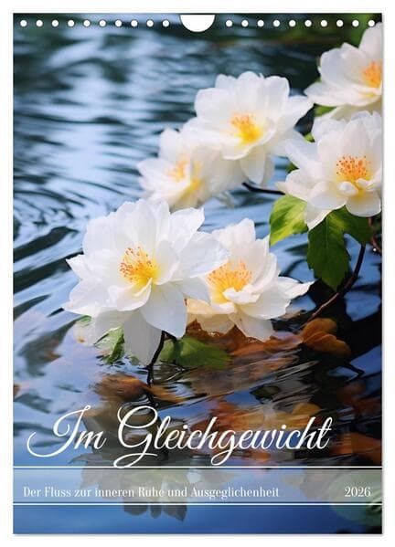 Im Gleichgewicht (Wandkalender 2026 DIN A4 hoch), CALVENDO Monatskalender
