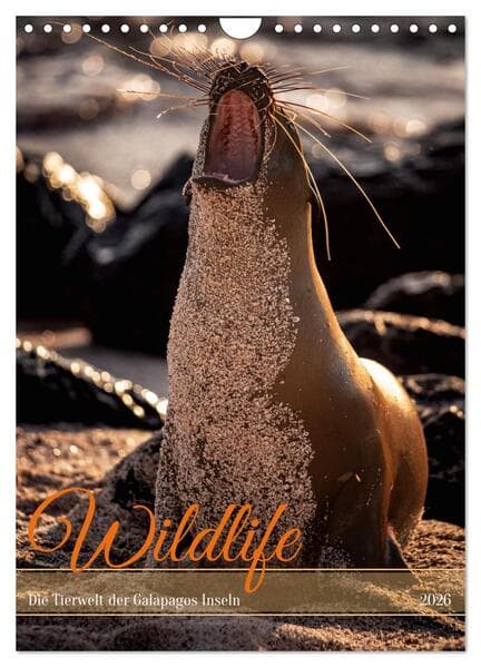 Wildlife - Die Tierwelt der Galapagos Inseln (Wandkalender 2026 DIN A4 hoch), CALVENDO Monatskalende