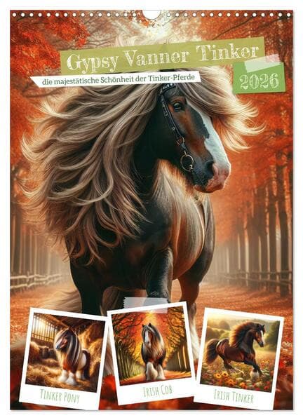 Gypsy Vanner Tinker - die majestätische Schönheit der Tinker-Pferde (Wandkalender 2026 DIN A3 hoch),
