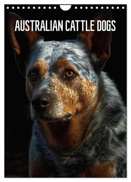 Australian Cattle Dogs (Wandkalender 2026 DIN A4 hoch), CALVENDO Monatskalender