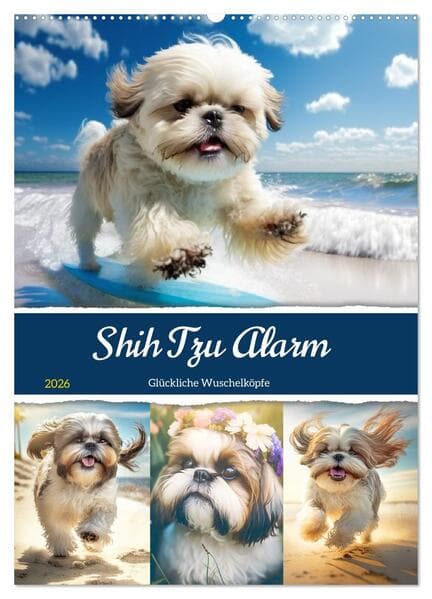 Shih Tzu Alarm. Glückliche Wuschelköpfe (Wandkalender 2026 DIN A2 hoch), CALVENDO Monatskalender