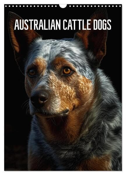 Australian Cattle Dogs (Wandkalender 2026 DIN A3 hoch), CALVENDO Monatskalender