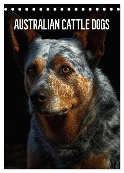 Australian Cattle Dogs (Tischkalender 2026 DIN A5 hoch), CALVENDO Monatskalender