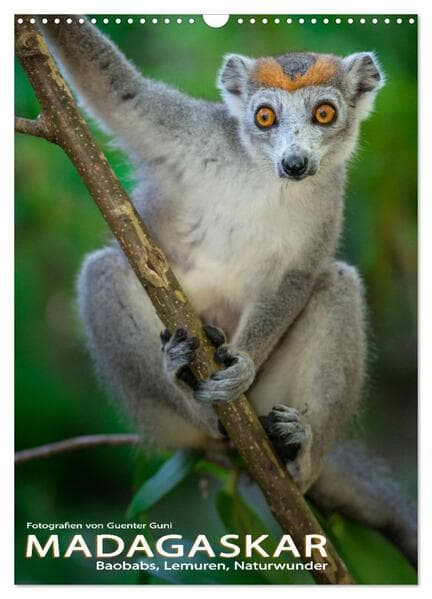 MADAGASKAR: Baobabs, Lemuren, Naturwunder (Wandkalender 2026 DIN A3 hoch), CALVENDO Monatskalender