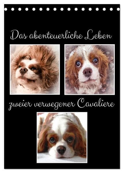 Das abenteuerliche Leben zweier verwegener Cavaliere (Tischkalender 2026 DIN A5 hoch), CALVENDO Monatskalender
