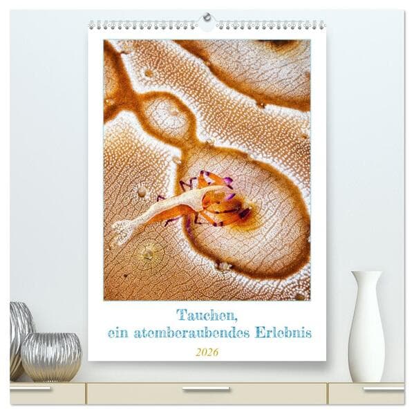 Tauchen, ein atemberaubendes Erlebnis (hochwertiger Premium Wandkalender 2026 DIN A2 hoch), Kunstdru