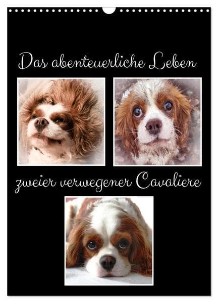 Das abenteuerliche Leben zweier verwegener Cavaliere (Wandkalender 2026 DIN A3 hoch), CALVENDO Monatskalender