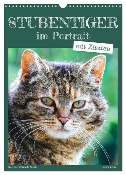 Stubentiger im Portrait (Wandkalender 2026 DIN A3 hoch), CALVENDO Monatskalender