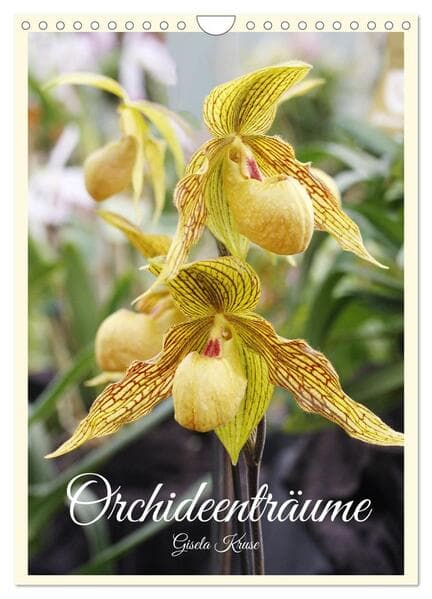 Orchideenträume (Wandkalender 2026 DIN A4 hoch), CALVENDO Monatskalender