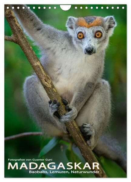 MADAGASKAR: Baobabs, Lemuren, Naturwunder (Wandkalender 2026 DIN A4 hoch), CALVENDO Monatskalender