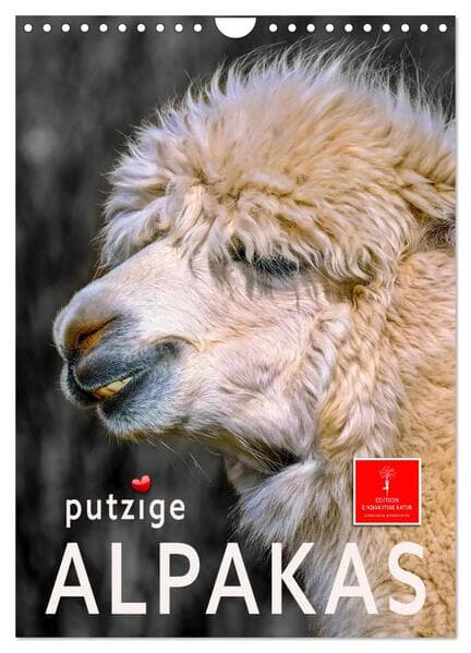 Putzige Alpakas (Wandkalender 2026 DIN A4 hoch), CALVENDO Monatskalender