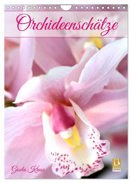 Orchideenschätze (Wandkalender 2026 DIN A4 hoch), CALVENDO Monatskalender