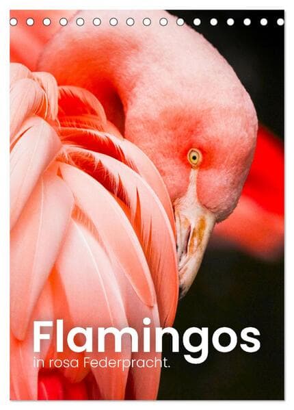 Flamingos in rosa Federpracht. (Tischkalender 2026 DIN A5 hoch), CALVENDO Monatskalender