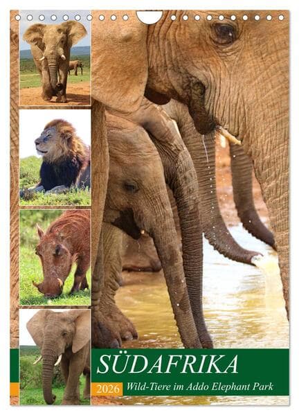SÜDAFRIKA Wild-Tiere im Addo Elephant Park (Wandkalender 2026 DIN A4 hoch), CALVENDO Monatskalender