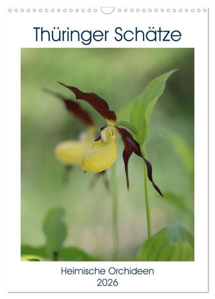 Thüringer Schätze (Wandkalender 2026 DIN A3 hoch), CALVENDO Monatskalender