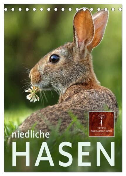 Niedliche Hasen (Tischkalender 2026 DIN A5 hoch), CALVENDO Monatskalender