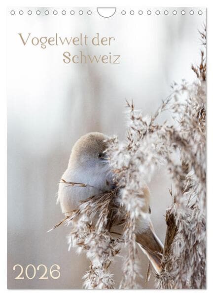 Vogelwelt der Schweiz (Wandkalender 2026 DIN A4 hoch), CALVENDO Monatskalender