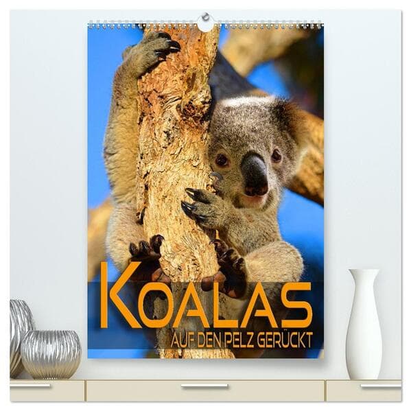 Koalas auf den Pelz gerückt (hochwertiger Premium Wandkalender 2026 DIN A2 hoch), Kunstdruck in Hoch