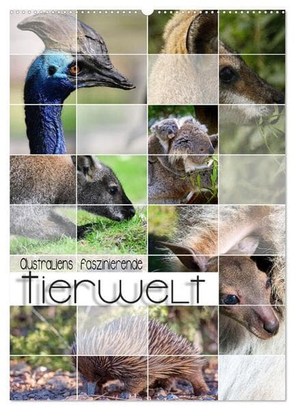 Australiens faszinierende Tierwelt (Wandkalender 2026 DIN A2 hoch), CALVENDO Monatskalender