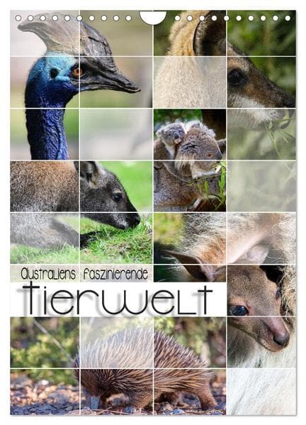 Australiens faszinierende Tierwelt (Wandkalender 2026 DIN A4 hoch), CALVENDO Monatskalender