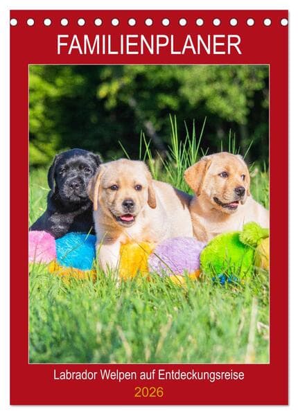 Familienplaner - Labrador Welpen entdecken die Welt (Tischkalender 2026 DIN A5 hoch), CALVENDO Monat