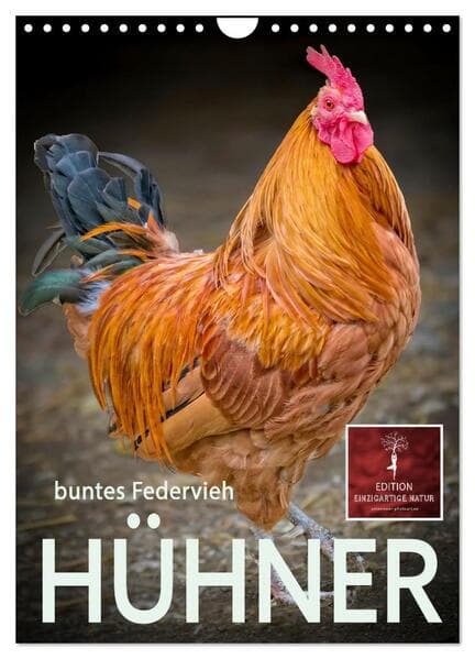 Hühner - buntes Federvieh (Wandkalender 2026 DIN A4 hoch), CALVENDO Monatskalender