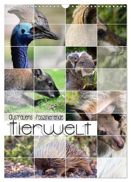 Australiens faszinierende Tierwelt (Wandkalender 2026 DIN A3 hoch), CALVENDO Monatskalender