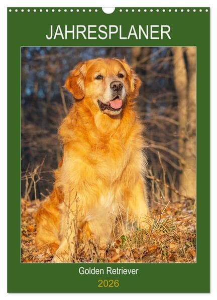 Jahresplaner Golden Retriever (Wandkalender 2026 DIN A3 hoch), CALVENDO Monatskalender