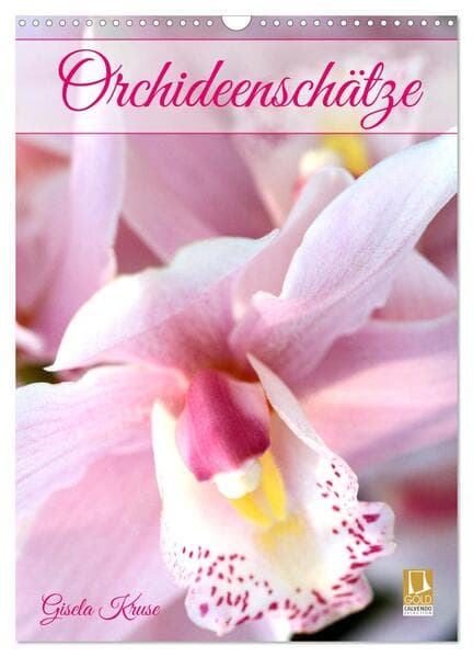 Orchideenschätze (Wandkalender 2026 DIN A3 hoch), CALVENDO Monatskalender