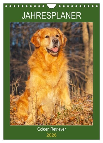 Jahresplaner Golden Retriever (Wandkalender 2026 DIN A4 hoch), CALVENDO Monatskalender