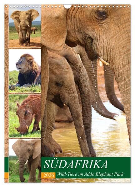 SÜDAFRIKA Wild-Tiere im Addo Elephant Park (Wandkalender 2026 DIN A3 hoch), CALVENDO Monatskalender