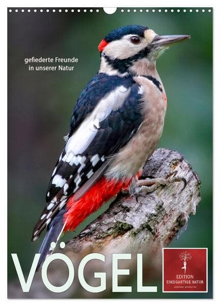 Vögel - gefiederte Freunde in unserer Natur (Wandkalender 2026 DIN A3 hoch), CALVENDO Monatskalender