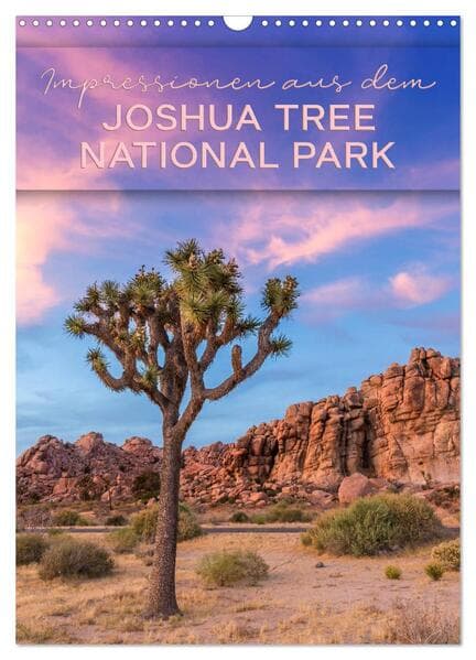 Impressionen aus dem JOSHUA TREE NATIONAL PARK (Wandkalender 2026 DIN A3 hoch), CALVENDO Monatskalen