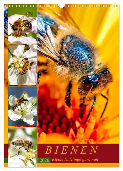 BIENEN - Kleine Nützlinge ganz nah (Wandkalender 2026 DIN A3 hoch), CALVENDO Monatskalender