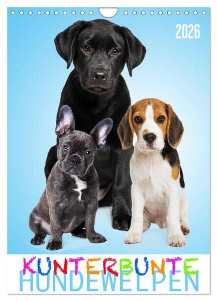 Kunterbunte Hundewelpen (Wandkalender 2026 DIN A4 hoch), CALVENDO Monatskalender